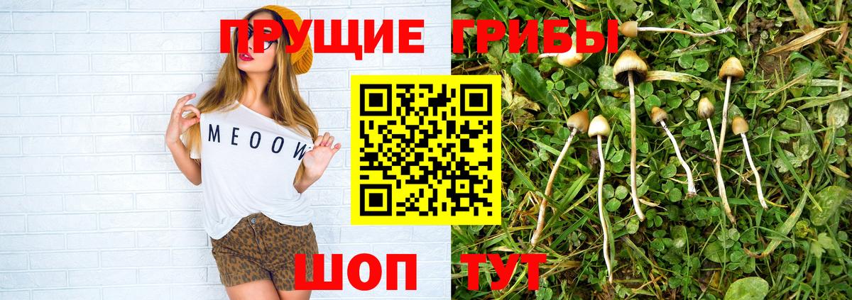 Галлюциногенные грибы мухоморы Новый Уренгой